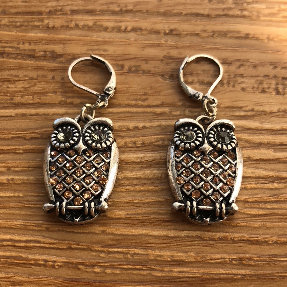 Owl Earrings